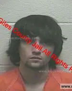 Booking photo of Sean Taz Lewis, Giles County, Jan 1, 2020