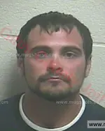 Booking photo of NATHAN Gage ARNOLD, Giles County, Aug 27, 2016