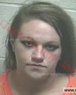 Booking photo of Kristin Marie Allen, Giles County, Jul 17, 2016