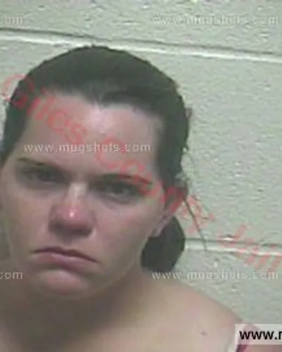 Booking photo of Ashley Nicole Turner, Giles County, Jul 8, 2016