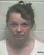 Booking photo of Shannon Gail Benefield, Giles County, Aug 27, 2015