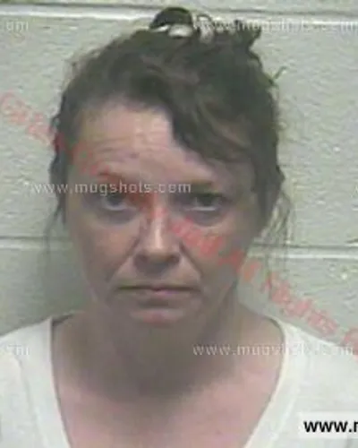 Booking photo of Shannon Gail Benefield, Giles County, Aug 27, 2015