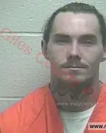 Booking photo of Elliot Lucas Wells, Giles County, Dec 31, 2016