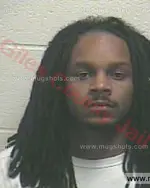 Booking photo of Gary John Mills, Giles County, Feb 10, 2016