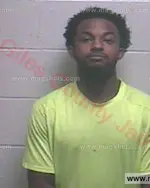 Booking photo of Caprice Khaaliq Houston, Giles County, Oct 26, 2016