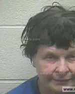 Booking photo of Cecilia Darline Finkenhagen, Giles County, Aug 19, 2013