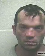 Booking photo of Wesley Keith Poarch, Giles County, Mar 22, 2013