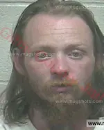 Booking photo of WILLIAM ROBERT HARAWAY Sr., Giles County, Apr 24, 2017