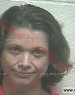 Booking photo of Amy Hennessee Moore, Giles County, Jul 23, 2016