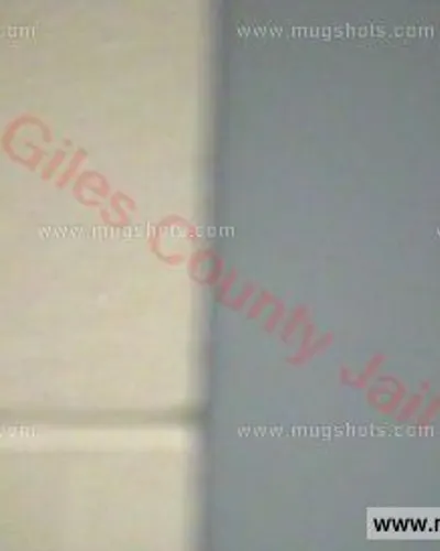 Booking photo of Orlando Frazier, Giles County, Nov 28, 2015