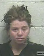 Booking photo of Amber Shelaine Blade, Giles County, Feb 9, 2014