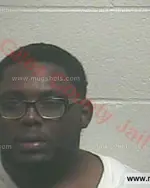 Booking photo of Wayne Isaun Lynn, Giles County, Nov 29, 2017