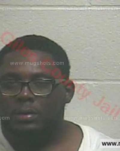 Booking photo of Wayne Isaun Lynn, Giles County, Nov 29, 2017