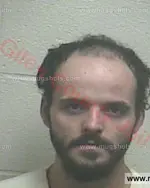 Booking photo of Caleb Ray Wilkinson, Giles County, Jun 6, 2016