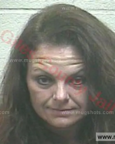Booking photo of Meredith Leigh Yokley, Giles County, Dec 22, 2017