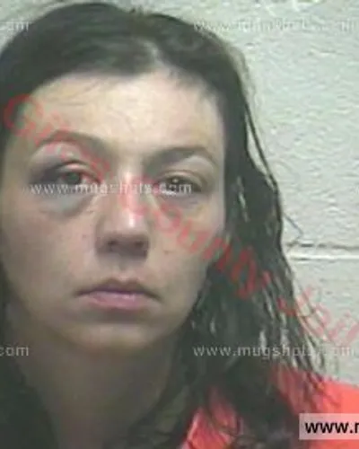 Booking photo of Erica Ann Mccrary, Giles County, Dec 3, 2016