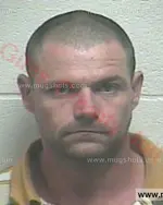 Booking photo of Michael Larry Hollingsworth, Giles County, May 5, 2017