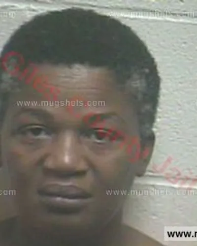 Booking photo of Peggy Mcwilliams, Giles County, Aug 23, 2016