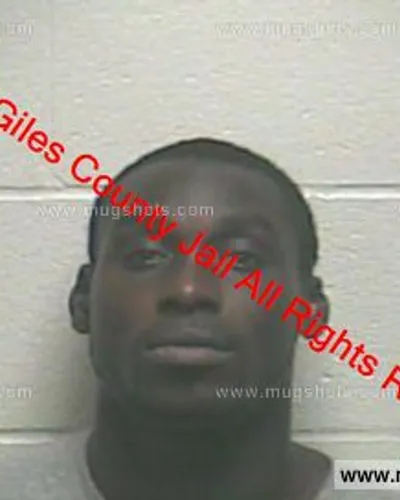 Booking photo of Timothy Stevenson, Giles County, Dec 4, 2019