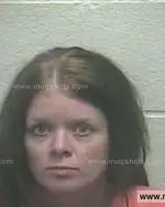Booking photo of Amanda Kay Wiser, Giles County, May 8, 2014
