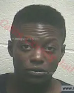 Booking photo of Keaira Monique Randolph, Giles County, Jul 12, 2016