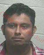 Booking photo of Andres Hernandez Sanchez V, Giles County, Aug 30, 2016