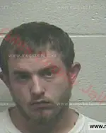 Booking photo of Damian Leon Davis, Giles County, Feb 27, 2018