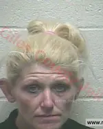 Booking photo of Kimberly Ann Vargas, Giles County, Dec 19, 2017