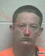 Booking photo of Layla Michelle Gowder, Giles County, Aug 6, 2017