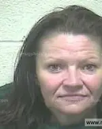 Booking photo of Cynthia Denise Johnson, Giles County, May 10, 2013