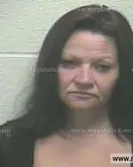 Booking photo of Cynthia Denise Johnson, Giles County, Oct 8, 2013