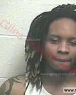 Booking photo of Logan Davion Starks, Giles County, Feb 13, 2016