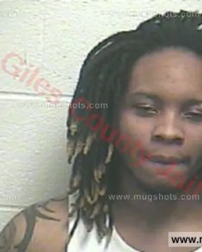 Booking photo of Logan Davion Starks, Giles County, Feb 13, 2016