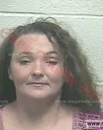 Booking photo of Melissa Janet Bishop, Giles County, Oct 2, 2015