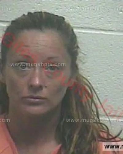 Booking photo of Lindsay Michelle Burls, Giles County, Jun 5, 2016