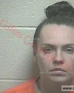 Booking photo of Ashley Nicole Martin, Giles County, Nov 13, 2016