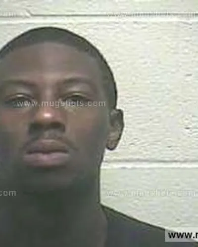 Booking photo of Aundra Mcelroy, Giles County, Aug 2, 2014