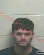 Booking photo of Randall Tyler Simmons, Giles County, Nov 17, 2015