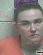 Booking photo of Sara Elizabeth Gay, Giles County, Jan 10, 2018
