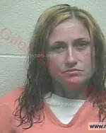 Booking photo of Tammy Pennington Baker, Giles County, Nov 21, 2015