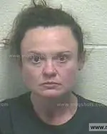 Booking photo of April Lynn Riddle, Giles County, Jan 11, 2015