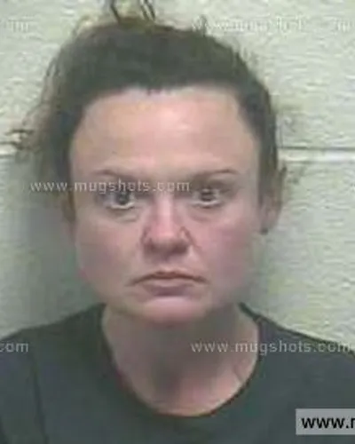 Booking photo of April Riddle, Giles County, Jan 11, 2015
