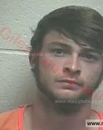 Booking photo of Eric Storm Phelps, Giles County, Mar 31, 2016