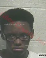 Booking photo of Julia Ann Douglas, Giles County, Oct 1, 2015