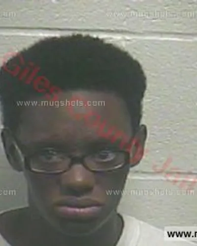 Booking photo of Julia Ann Douglas, Giles County, Oct 1, 2015