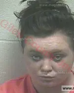 Booking photo of Cynthia Michelle House, Giles County, Jan 6, 2016