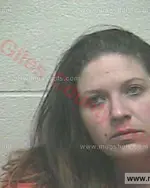 Booking photo of Melinda Shannon Sharma, Giles County, Feb 8, 2018