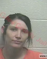 Booking photo of Ginger Michelle Johnson, Giles County, Nov 19, 2015
