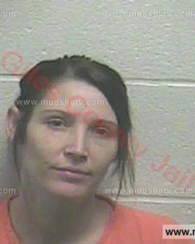 Booking photo of Ginger Michelle Johnson, Giles County, Nov 19, 2015