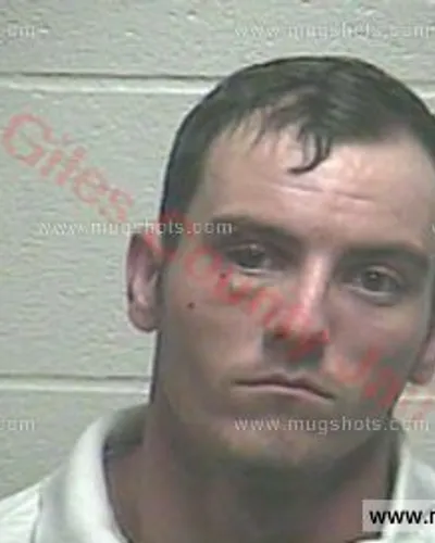 Booking photo of Tyler David Henry, Giles County, Nov 13, 2016